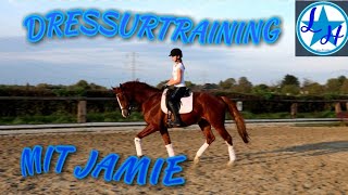 DRESSURTRAINING mit Jamie❣