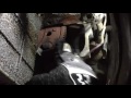 starter motor replacement 2002 pontiac grand prix