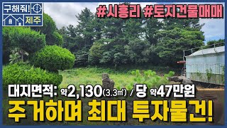 제주도부동산 시흥리 토지건물매매 / 매매가: 10억원 / 당 약47만원 정도!! / 제주2공항 수혜지역 / 주거와 부동산투자를 한번에[ep. 구해줘 제주]