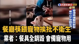 飼主用餐廳筷子餵毛小孩 挨批不衛生－民視新聞