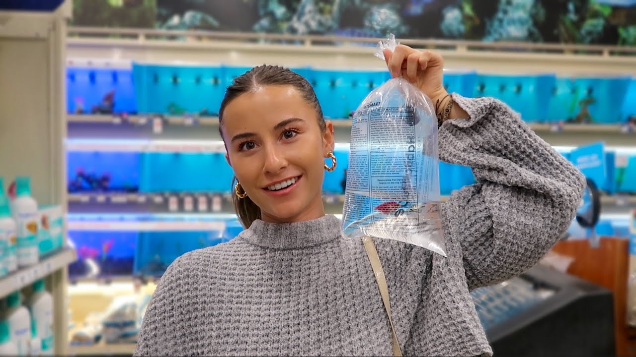 New Roommate Youtube