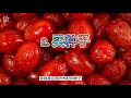 3种方法种枸杞 身边的种子13 how to grow wolfberry from seeds