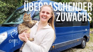 AB JETZT ZU DRITT | Vollzeit Vanlife mit Katze | Wir besuchen Split, Kroatien