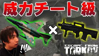 戦闘機の弾が撃てる銃がチート級の威力らしいので使ってみた！笑【EFT】