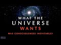 Does The Universe Have A Purpose? ~ Consciousness Documentary