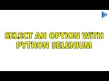 Select an option with Python selenium