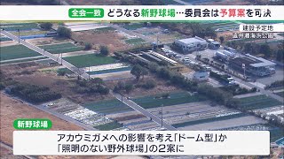 新野球場計画の調査費3,000万円　静岡県議会の委員会で可決　基本計画公表は予定より1年遅れに