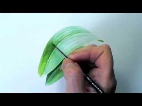 Painting Leaves With Watercolor Youtube