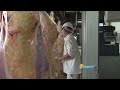 Exportación de carne bovina a Serbia