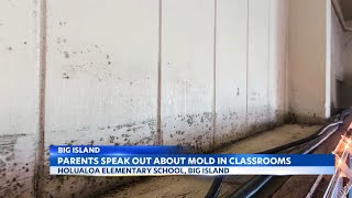 Parents and teachers report mold, rats at Big Island elementary school