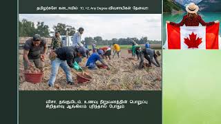 FARM WORKERS JOB IN CANADA|| Tamil Farmers || கனடாவில் பண்ணை வேலை வாய்ப்புகள்|| விவசாய வேலை கனடாவில்