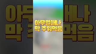 [킹피스]공섭가면 많이 보였던 뉴비들 특징ㅋㅋ