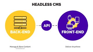JAVASCRIPT GETTING DATA FROM WORDPRESS HEADLESS CMS