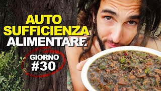 Zuppa coi FUNGHI TOSSICI  🍄   - AUTOSUFFICIENZA ALIMENTARE (Giorno #30)