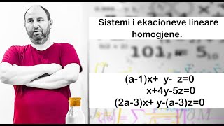 147.  Sistemi i ekacioneve lineare homogjene. detyre provimi