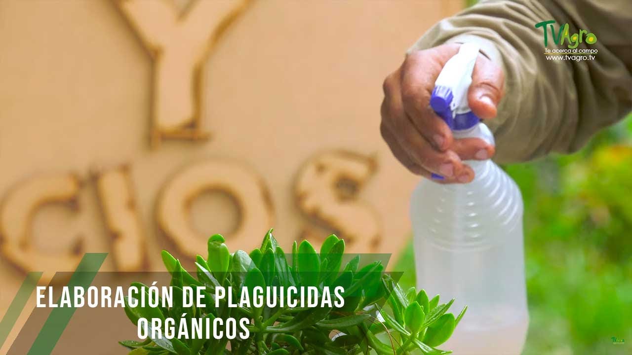 Elaboración De Plaguicidas Orgánicos - TvAgro Por Juan Gonzalo Angel ...