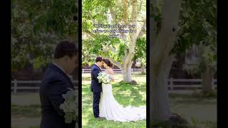 Pregnancy Announcement