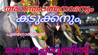 മകരച്ചൊവ്വ... പുത്തനാൽക്കൽ മകരചൊവ്വ ഉത്സവം... അനന്തപത്മനാഭനും കടുക്കനും...