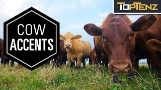 10 Ways Animals Are More Similar to Humans Than You Realize