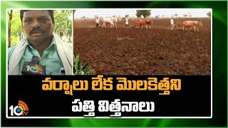 వర్షాలు లేక మొలకెత్తని పత్తి విత్తనాలు | Cotton Seeds Do Not Germinate | Matti Manishi | 10TV