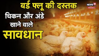 Bird Flu Alert: देश के इस राज्य में बर्ड फ्लू का अलर्ट जारी