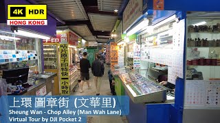 【HK 4K】上環 圖章街 (文華里) | Sheung Wan - Chop Alley (Man Wah Lane) | DJI Pocket 2 | 2022.01.28