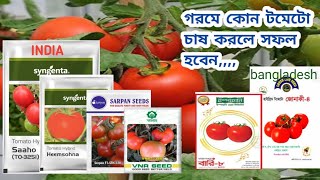 ভারত ও বাংলাদেশের এই হাইব্রিড টমেটো চাষ করুন || দারুন ফলন,,, F1 Hybrid Tomato Seed,,