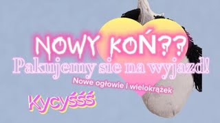 ✨🍣Nowy koń!!🍣✨ + Pakujemy się na wyjazd! + Nowe ogłowie #Video #hobbyhorse