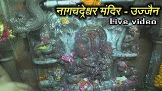 Darshan of Chamtakari Naag Devta's Mandir \