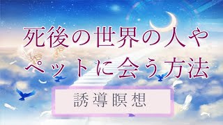 ＜瞑想＞死後の世界の人やペットに会う方法☆スピリチュアルカウンセラーが誘導瞑想をします