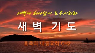 여호와의 신(사34:8-17)  새벽기도 (월-금05:00) 2월 5일