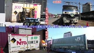 【4K】多治見貨物駅・一般公開に参加！コンテナやEF210桃太郎の運転台など貴重な光景を見学する！(2023/10/07)