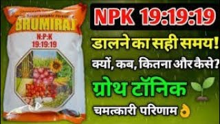 NPK 19 19 19 पानी में घुलनशील खाद | water soluble fertilizer | Plant growth Tonic |#Agro_Hit