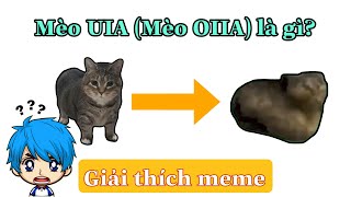 Mèo UIA (Mèo OIIA) là gì? | Giải thích meme