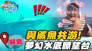 【關島】與鯊魚共游！ 夢幻水底瞭望台【食尚玩家關島特輯】20221026 (2/3)