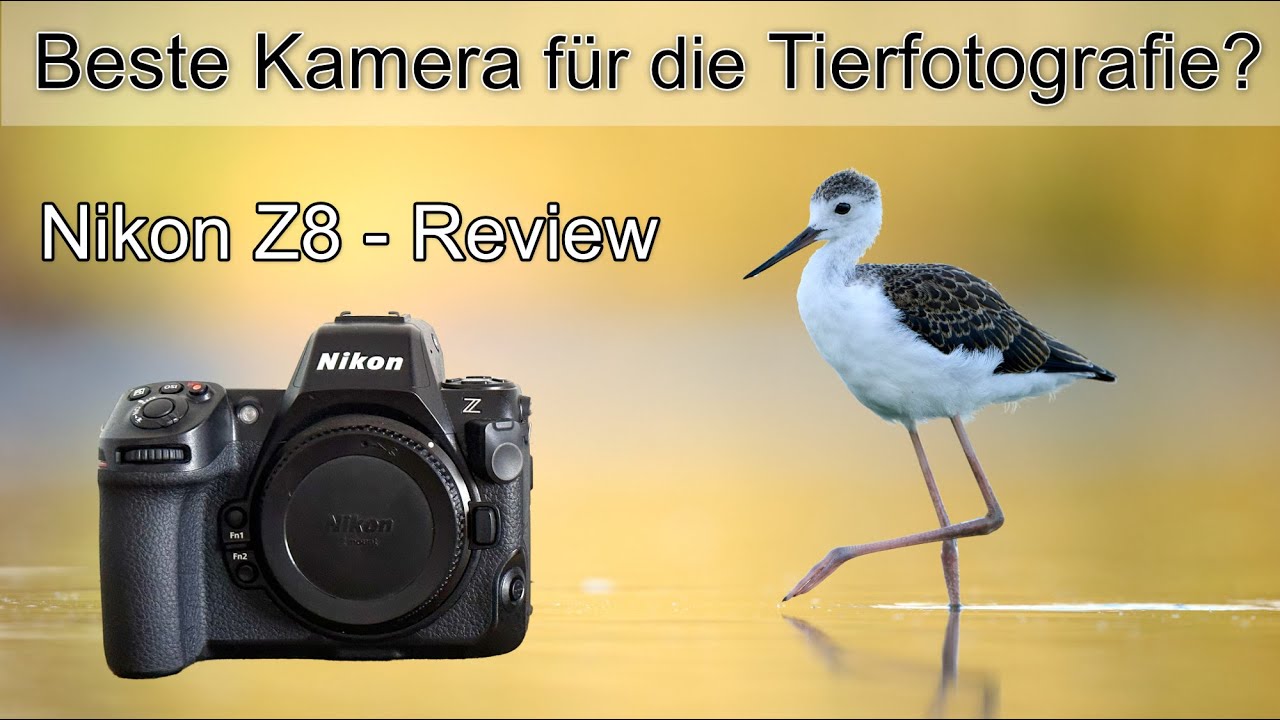 Nikon Z8 REVIEW - Die Perfekte Kamera Für Die Vogelfotografie ...