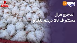 مباشرة من سطات: الدجاج مزال مستقر ف 18 درهم للكيلو.. شحال واصل ثمنو عندكم؟