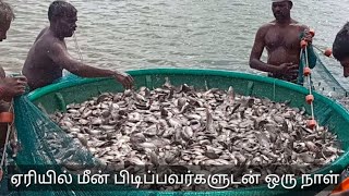 ஏரியில் மீன் பிடிப்பது எப்படி?ஏரியில் மீன் பிடிப்பவர்களுடன்|How to catching fish in lake|Lake fish