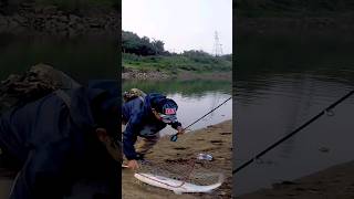 飛釣90UP以上的草魚就是如此輕鬆! 你還不開始玩飛釣???(flyfishing Grass carp)#flyfishing #shorts #大魚