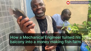 How a mechanical engineer turned his balcony into a fluid money making fish farm (Tilapia)