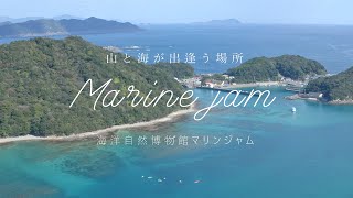 【徳島県海陽町】海洋自然博物館マリンジャム「山と海が出逢う場所」3分ver.