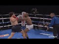 richard torrez jr heavyweight prospect 10 0 10 ko s highlights knockouts