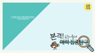 [Golden Film] 본격! 금둥이들의 매력집중탐구🔍 #6