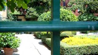 Savannah in a day: The Hidden Gardens of Savannah