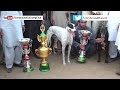 Download Dhok Gad race Final | presentation ceremony | Greyhound racing | award show 2017 In Mp4 3Gp Full HD Video