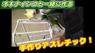 オキナインコと一緒にバードアスレチックを作る！