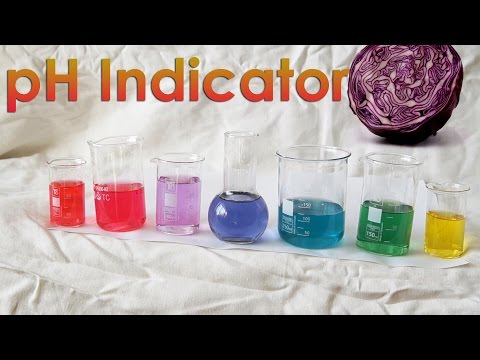 Make your OWN pH Indicator from Red Cabbage! Make your OWN pH Indicator from Red Cabbage!