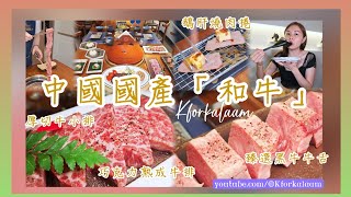 中國國產「和牛」🤩河北自有牧場🐄國家公園無污染🩵黑牛牛舌、🩵鵝肝燒肉捲、🩵巧克力熟成牛排、🩵厚切牛小排 #深圳餐廳 #深圳一日遊 #深圳地鐵 #福田 #福田餐廳 #深圳烤肉 #哈里哈 #購物公園