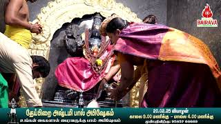 தேய்பிறை அஷ்டமி: பைரவருக்கு பால் அபிஷேகம் #spiritual  #tamil #bairavatemple #erode