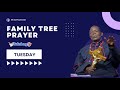 FAMILY TREE PRAYER (02.07.2024)